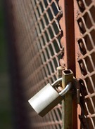 shares tips 25 - free - koala bear privacy policy